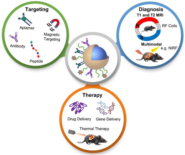MRItraceable theranostic nanoparticles for targeted cancer treatment