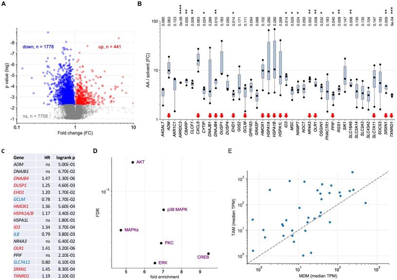 Mexico barrel policy Phosphoproteomics identify arachidonic-acid-regulated signal transduction  pathways modulating macrophage functions with implications for ovarian  cancer
