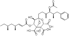 Theranostics inline graphic