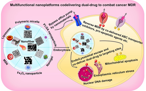 Smart Nanomaterials in Cancer Theranostics: Challenges and Opportunities