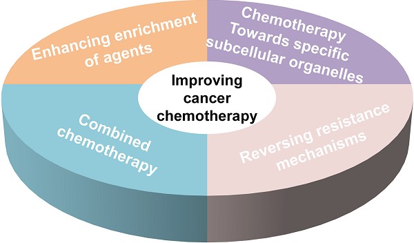 Integrated and dual-responsive lipopeptide nanovector with