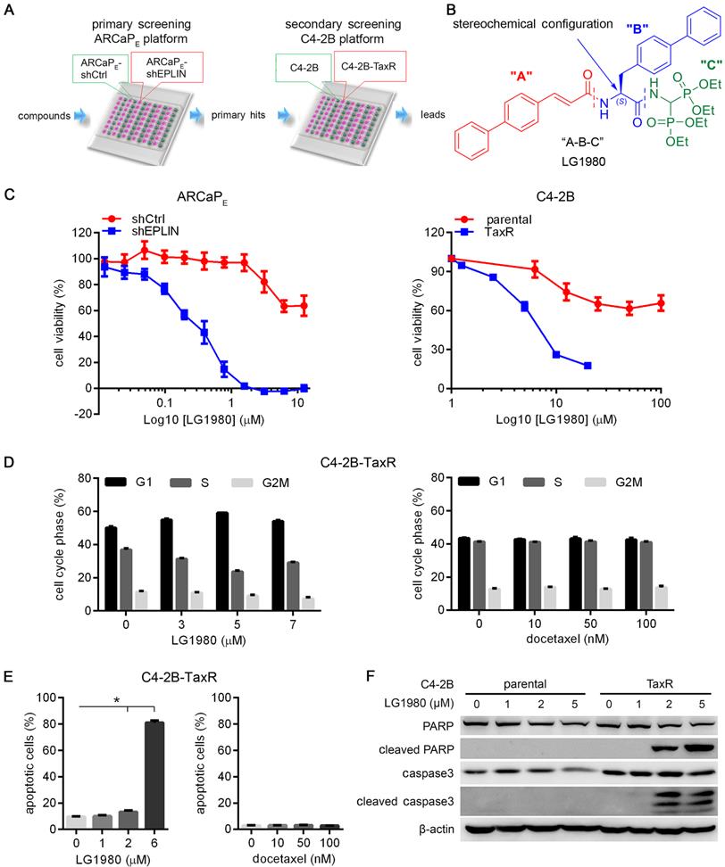 Theranostics 11: 6873 image No. 001
