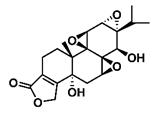 Theranostics inline graphic