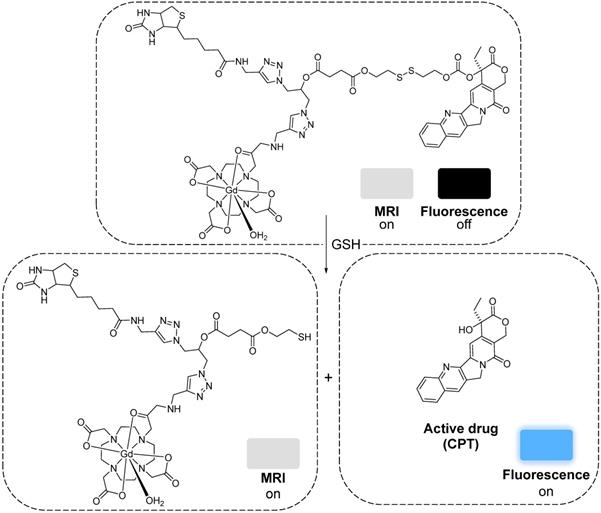 Smart resonance imagingbased theranostics for cancer