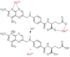 Theranostics inline graphic