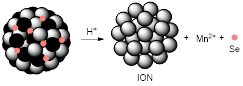 Theranostics inline graphic