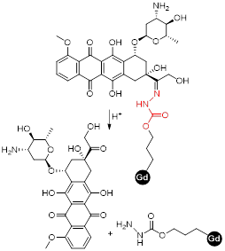 Theranostics inline graphic