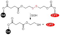 Theranostics inline graphic