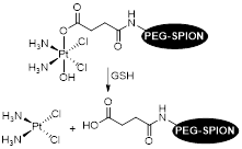 Theranostics inline graphic