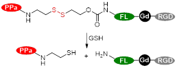 Theranostics inline graphic