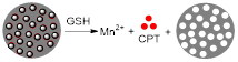 Theranostics inline graphic