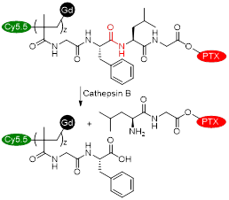 Theranostics inline graphic