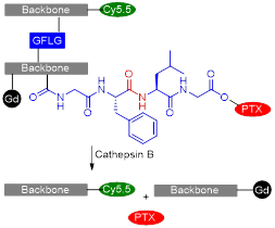 Theranostics inline graphic