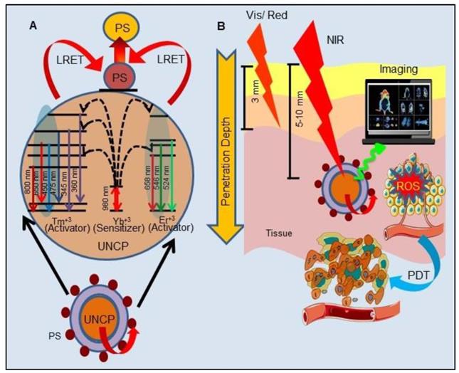 Theranostics Image