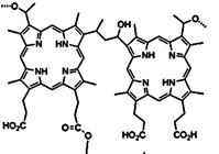 Theranostics inline graphic