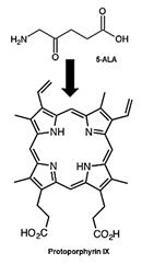 Theranostics inline graphic