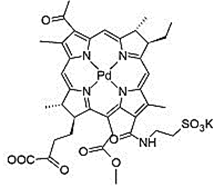 Theranostics inline graphic