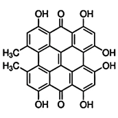 Theranostics inline graphic