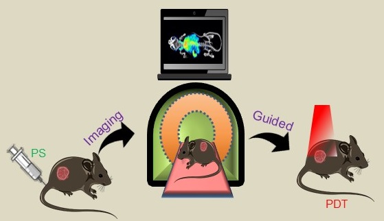 Recent Advances In Photosensitizers As Multifunctional Theranostic Agents For Imaging Guided Photodynamic Therapy Of Cancer