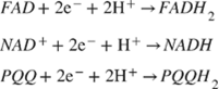 Theranostics inline graphic