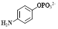 Theranostics inline graphic