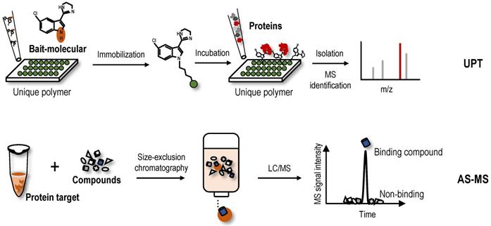 An update of label-free protein target identification methods for ...