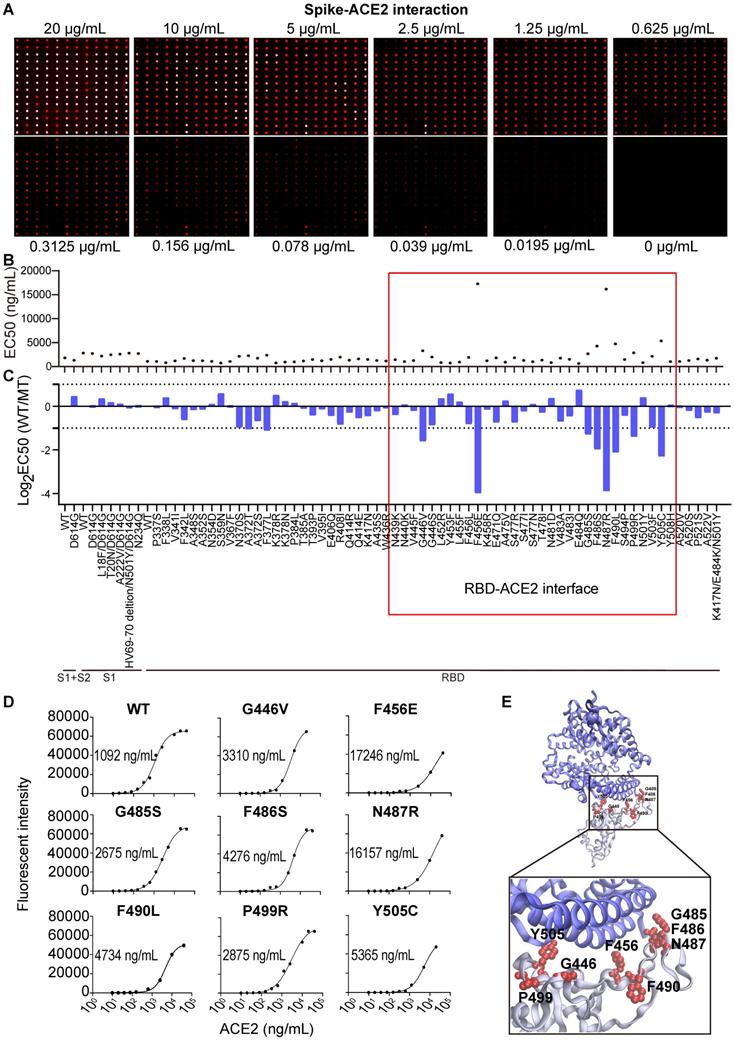 Theranostics Image