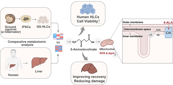 Ash Hess on LinkedIn: This was a fun stage. Full size IPSC targets followed  by 12 IPSCs