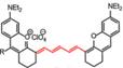 Theranostics inline graphic