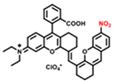 Theranostics inline graphic