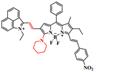 Theranostics inline graphic