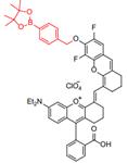 Theranostics inline graphic