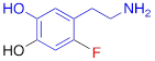 Theranostics inline graphic