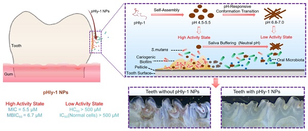 Nanoparticles for Oral Biofilm Treatments