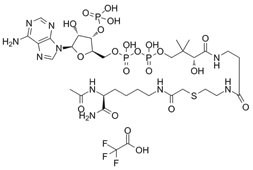 Theranostics inline graphic