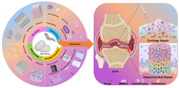 Silk fibroin scaffolds for common cartilage injuries