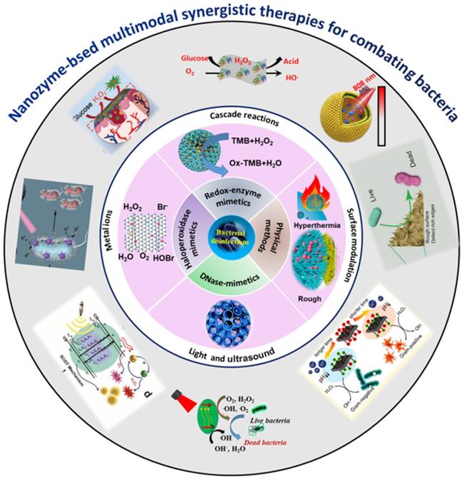 Emerging nanozyme-based multimodal synergistic therapies in combating ...