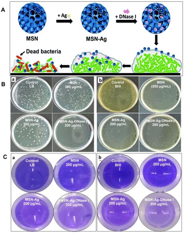Emerging nanozyme-based multimodal synergistic therapies in combating ...