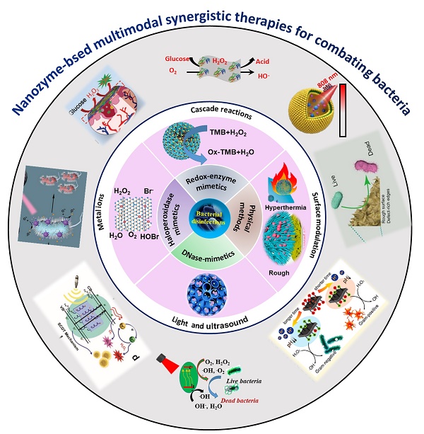 Emerging nanozyme-based multimodal synergistic therapies in 
