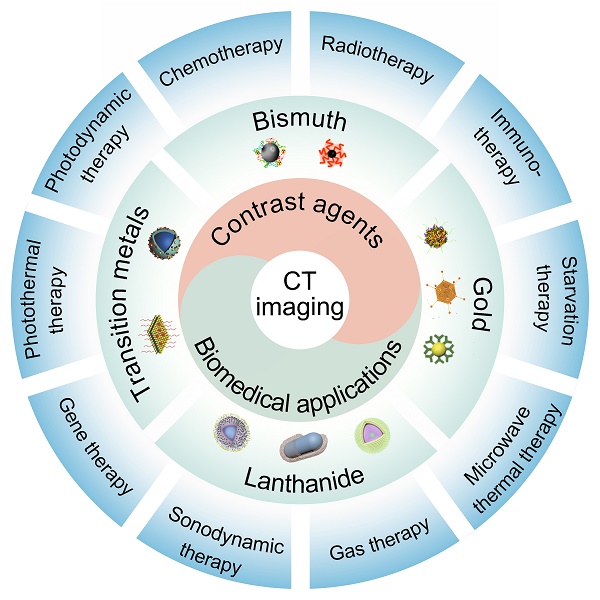 Contrast Medium: Using Gadolinium or Iodine in Patients with