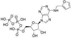 Theranostics inline graphic