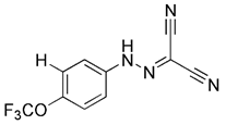 Theranostics inline graphic