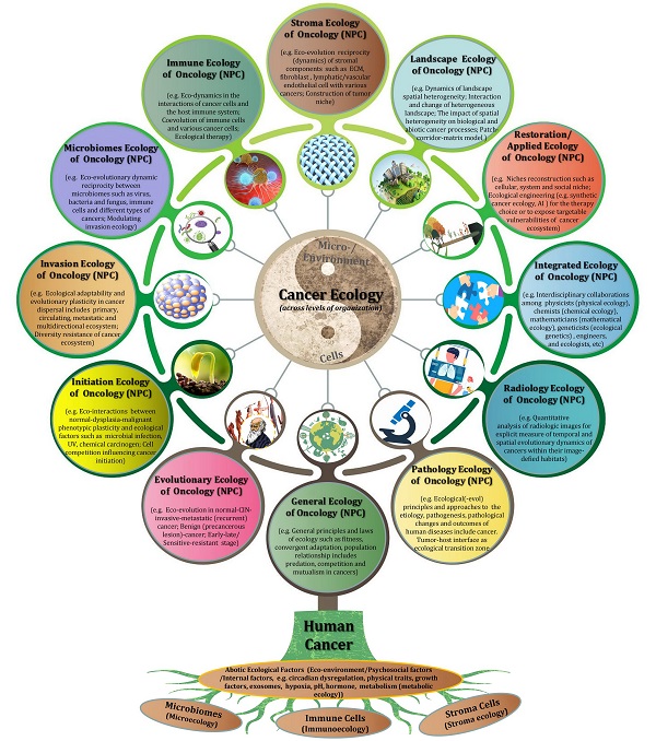 Fish, reconsidered: An updated 'Tree of Life' draws surprising connections