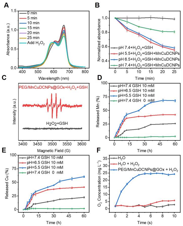 Theranostics Image