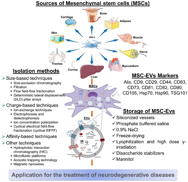 Bioinspired Theranostic Coordination Polymer Nanoparticles for Intranasal  Dopamine Replacement in Parkinson's Disease