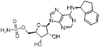 Theranostics inline graphic