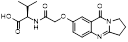 Theranostics inline graphic