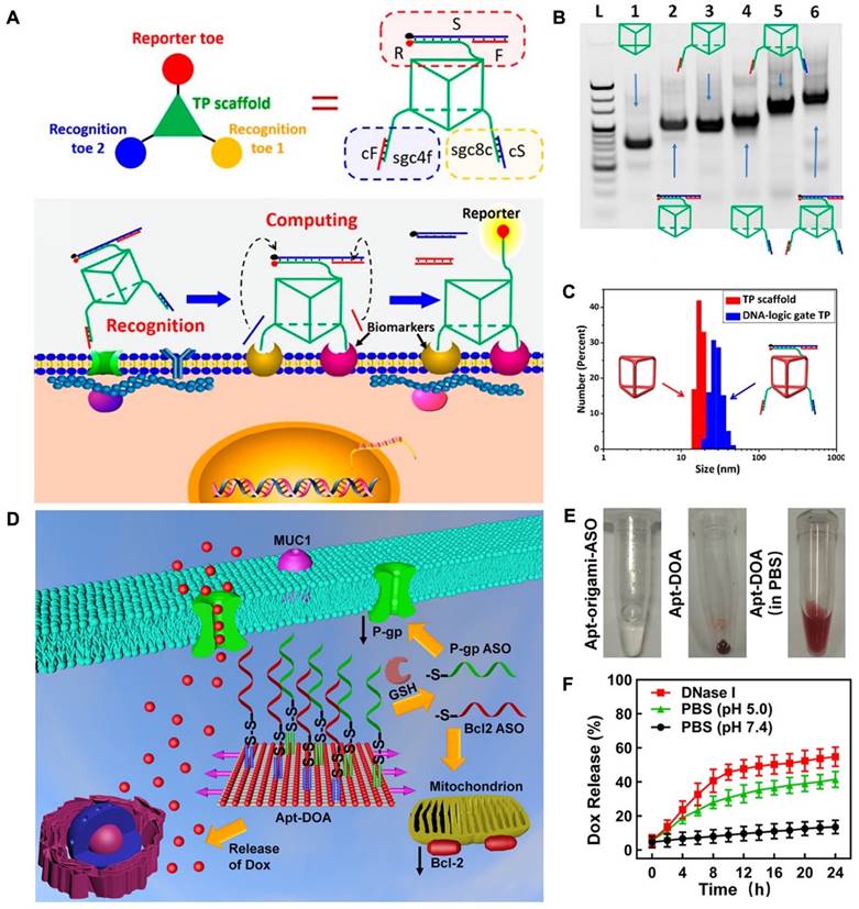 Theranostics Image
