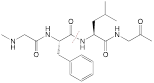 Theranostics inline graphic