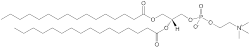 Theranostics inline graphic